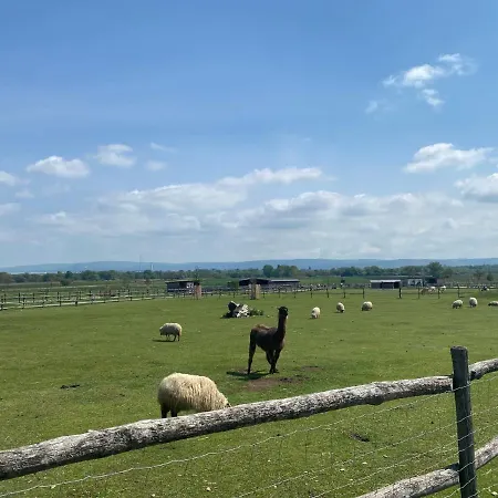 Διαμέρισμα Fabrik *