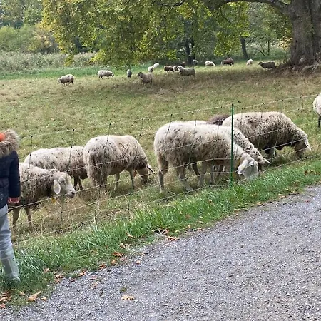 Διαμέρισμα Fabrik Hainburg an der Donau