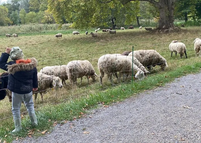 Apartment Fabrik Hainburg an der Donau
